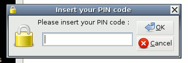 pin